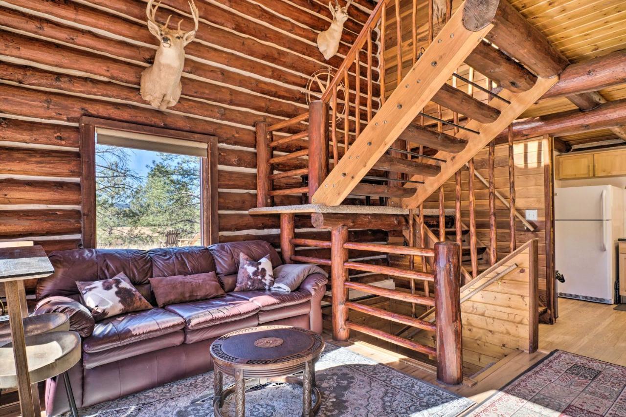 Classic Colorado Log Home With Mountain Views! Florissant エクステリア 写真